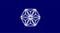 Bristol-Myers Squib