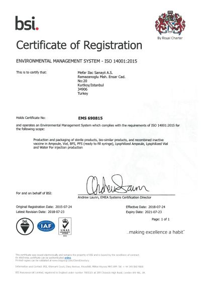 Environmental Management System Certificate